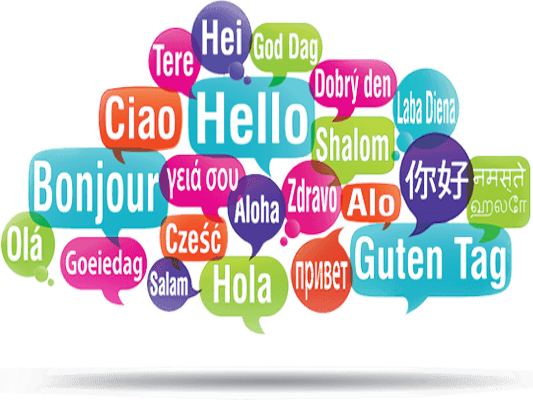 Widget Asset 5861e6fbb47d7c5a9cc9e87acd62d5358b265e14